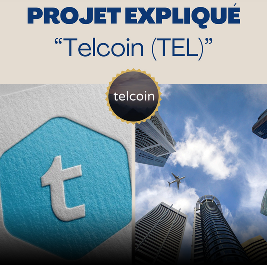 PROJET UTILITAIRE : Telcoin, LE projet obligatoire d'un porte feuille crypto